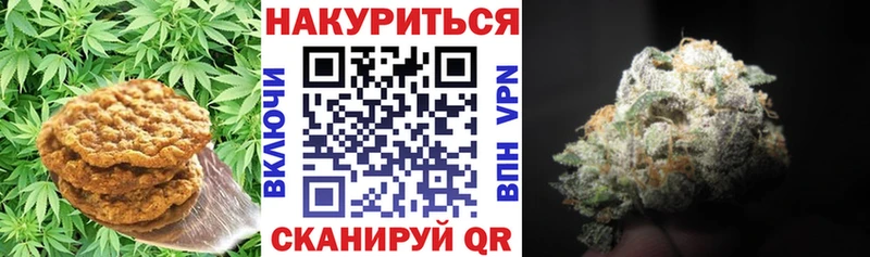 наркота  Светлоград  Cannafood марихуана 