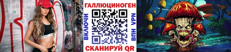 магазин продажи наркотиков  Светлоград  Галлюциногенные грибы мицелий 
